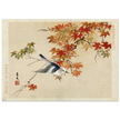 Bird flying at autumn branches by Matsumura Keibun, 1892 .