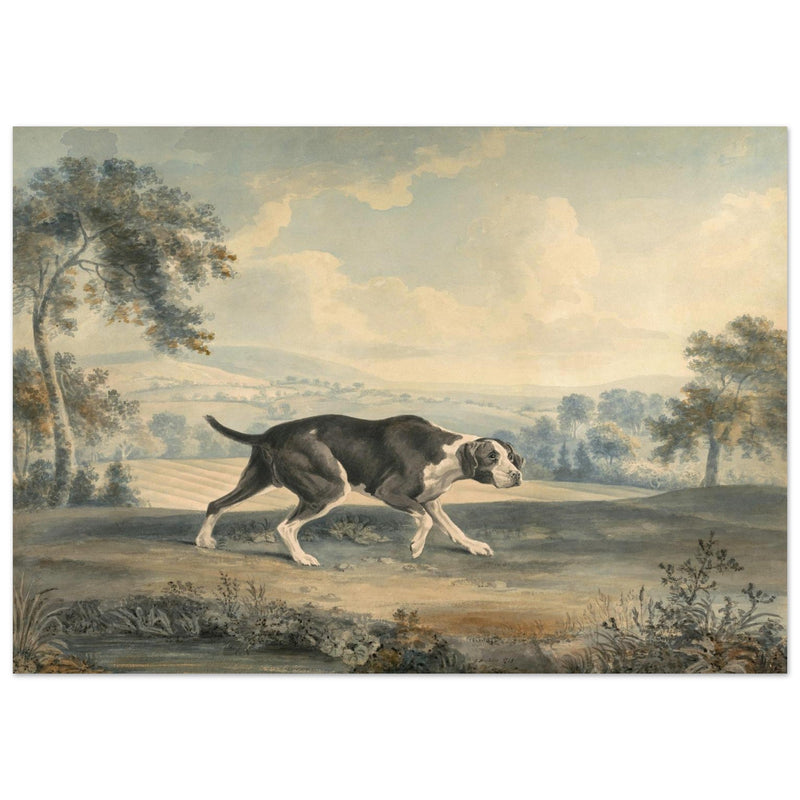 The Spanish Pointer watercolor painting by John Buckler after George Stubbs.