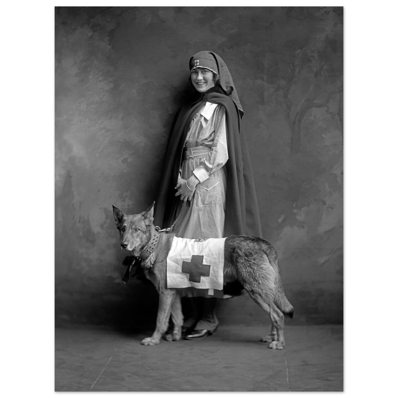 Red Cross nurse with dog poster reproduction by Harris & Ewing 1915-1918