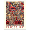 William Morris Wandle  from printed cotton original.