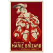 Anisette Marie Brizard vintage advertising poster by Leonetto Cappiello.