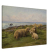 Sheep by the Sea by Rosa Bonheur.