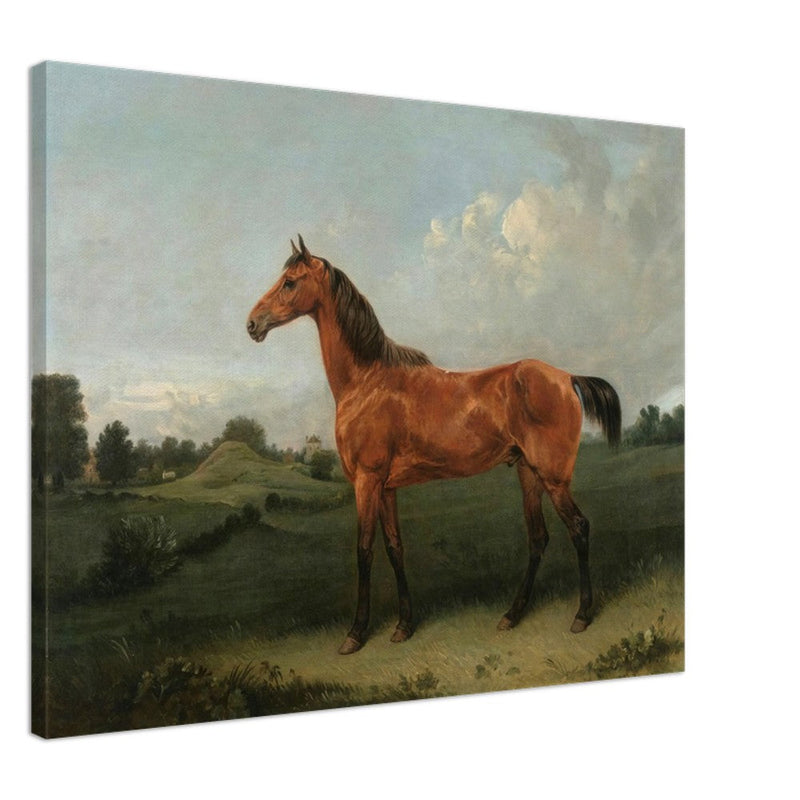 A Bay Horse in a Field by Edmund Bristow old painting 1825.