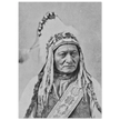 Sitting Bull native american leader.