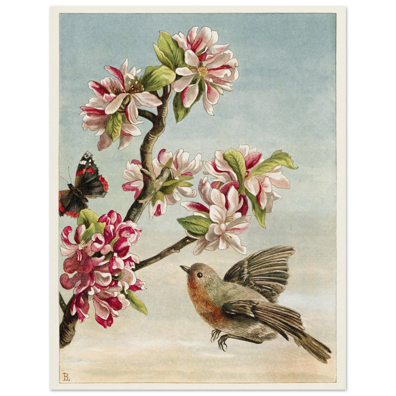 About Robins vintage cute bird illustration by Lady Lindsay