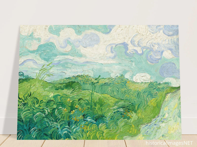 Green Wheat Fields Auvers by Vincent Van Gogh