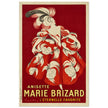 Anisette Marie Brizard vintage advertising poster by Leonetto Cappiello.