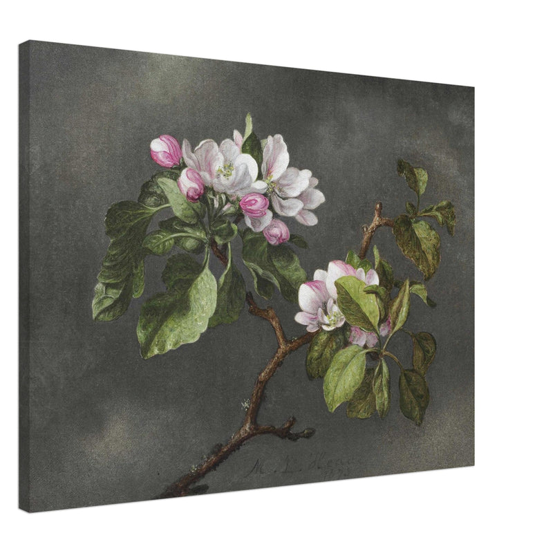 Apple Blossoms flowers by Martin Johnson Heade