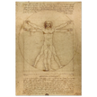 Leonardo da Vinci Vitruvian Man drawing  .