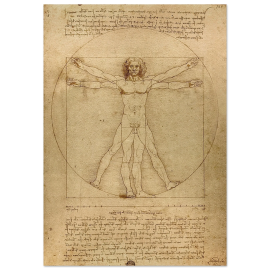 Leonardo da Vinci Vitruvian Man drawing  .