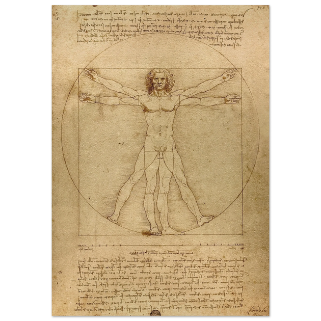 Leonardo da Vinci Vitruvian Man drawing  .