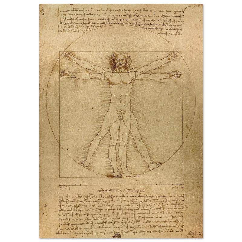 Leonardo da Vinci Vitruvian Man drawing  .