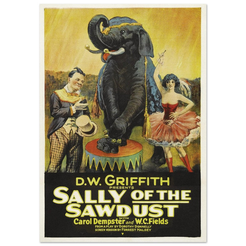 Sally of the Sawdust by D.W Griffith movie poster.