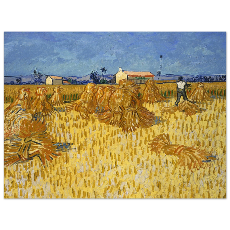 Corn Harvest in Provence by Vincent Van Gogh