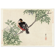 Black-red bird by Matsumura Keibun, 1892.