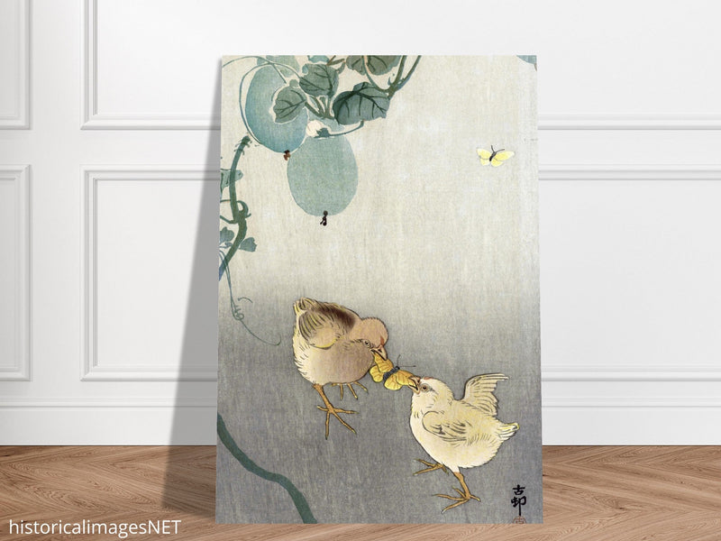 Two chicks fighting over butterfly by Ohara Koson Woodblock print