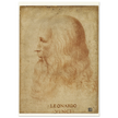 Portrait of Leonardo da Vinci by anonimous artist 1510-1530 .