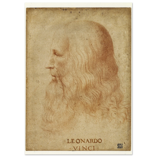 Portrait of Leonardo da Vinci by anonimous artist 1510-1530 .