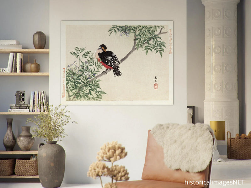 Black-red bird by Matsumura Keibun, 1892.