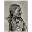 Sitting Bull native american indian leader.