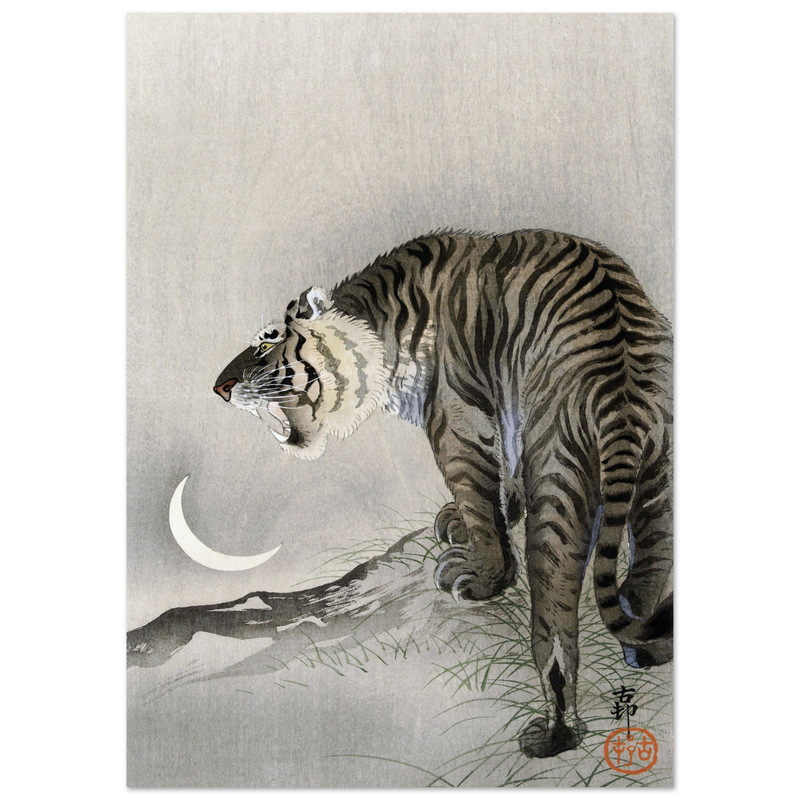 A Roaring tiger by Ohara Koson  woodblock print reproduction