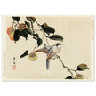 Bird and persimmon by Matsumura Keibun, 1892.
