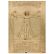 Leonardo da Vinci Vitruvian Man drawing  .