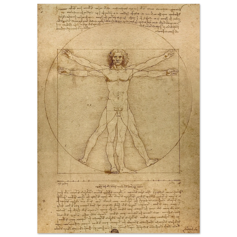 Leonardo da Vinci Vitruvian Man drawing  .
