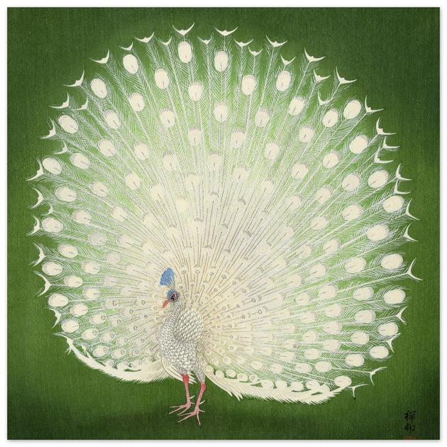 Peacock woodblock print by Ohara Koson