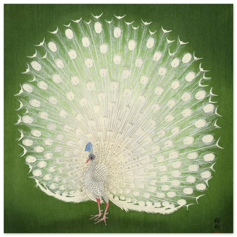 Peacock woodblock print by Ohara Koson