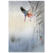 Kingfisher hunting fish by Ohara Koson  woodblock print