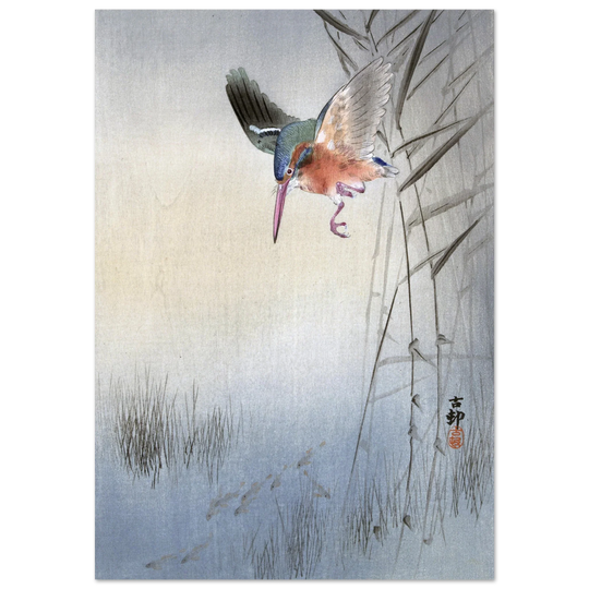 Kingfisher hunting fish by Ohara Koson  woodblock print