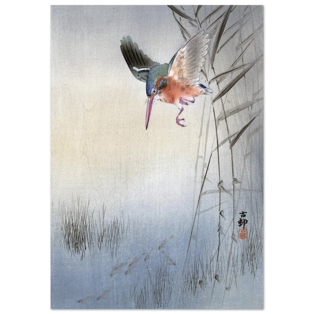 Kingfisher hunting fish by Ohara Koson  woodblock print