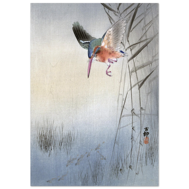 Kingfisher hunting fish by Ohara Koson  woodblock print