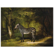 Zebra animal painting by George Stubbs.
