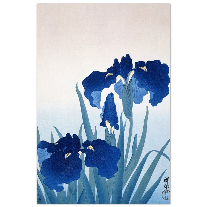 Irises by Ohara Koson Beautiful blue flowers woodblock painting in an