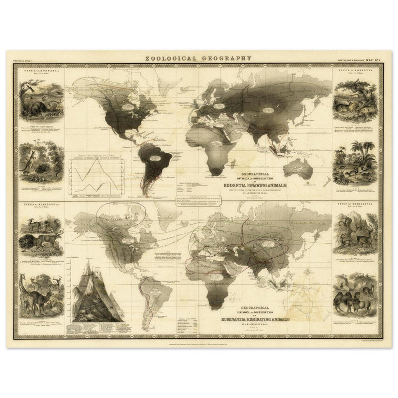 Old map of Gnawing animals distribution 1871 by Alexander Keith Johnston