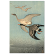 Ohara Koson White fronted geese in flight.