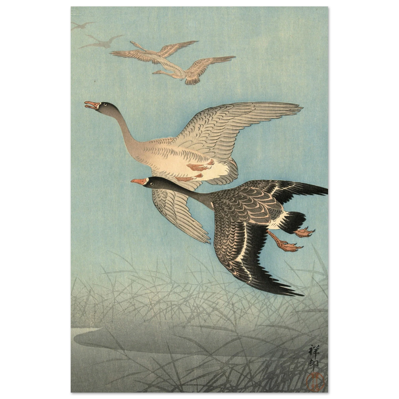 Ohara Koson White fronted geese in flight.