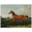 A Bay Horse in a Field by Edmund Bristow old painting 1825.