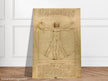 Leonardo da Vinci Vitruvian Man drawing  .