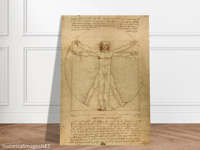 Leonardo da Vinci Vitruvian Man drawing  .
