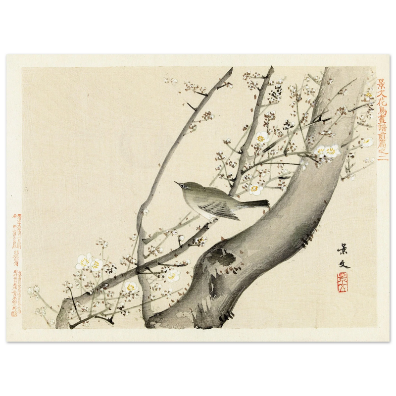 Bird in tree with white blossom by Matsumura Keibun, 1892