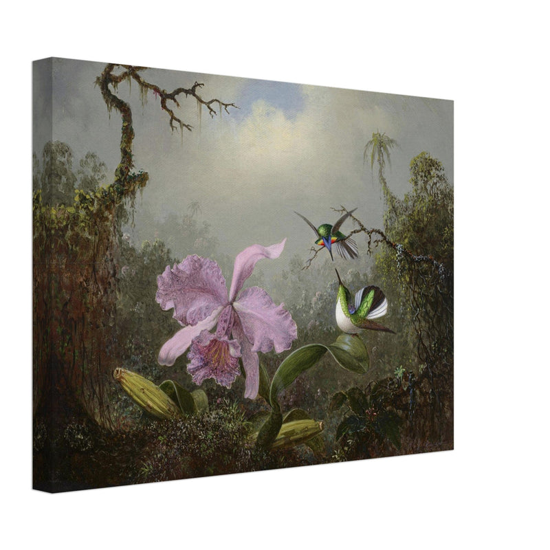Cattleya Orchid with Two Brazilian Hummingbirds by Martin Johnson Heade