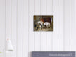 White horse in stable with dogs antique painting by Edwin Landseer.