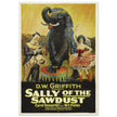 Sally of the Sawdust by D.W Griffith movie poster.