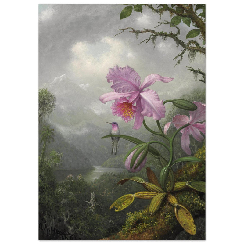 Hummingbird Perched on the Orchid Plant  by Martin Johnson Heade