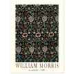 William Morris Evenlode 1883.