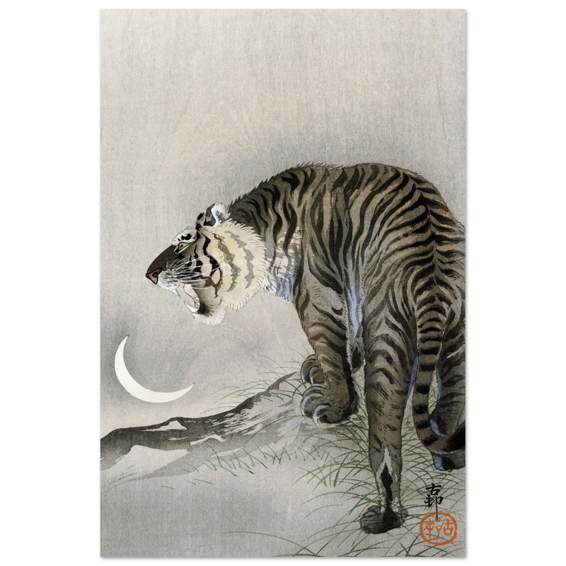 A Roaring tiger by Ohara Koson  woodblock print reproduction