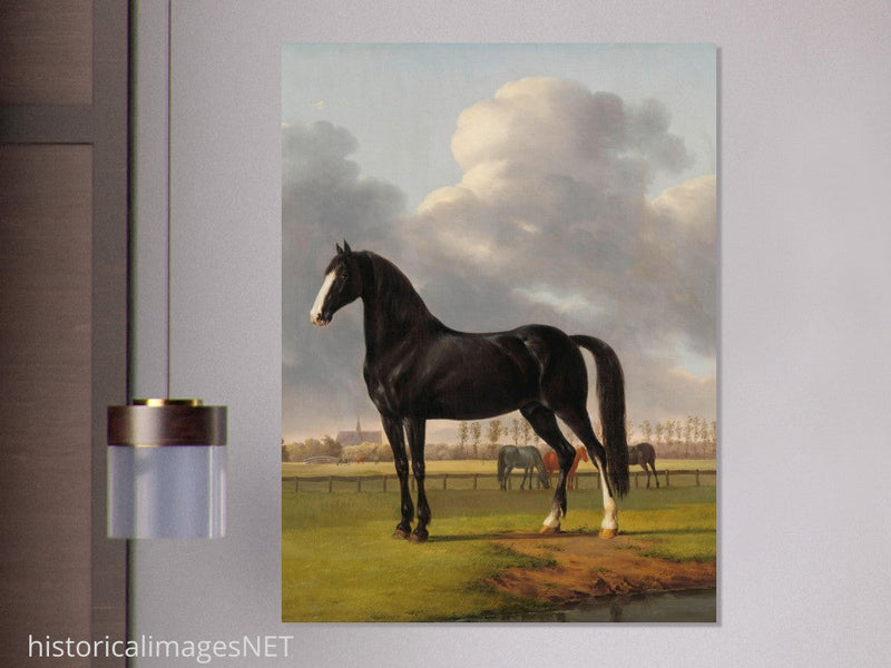 Antique painting of black horse by Anthony Oberman 1828. The fast one in a Meadow.